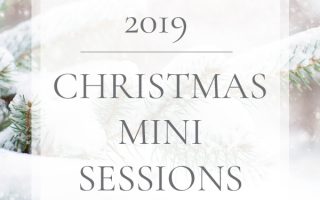 2019 Christmas Mini Sessions