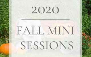 2020 Fall Mini Sessions