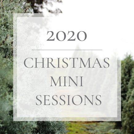2020 Christmas Mini Sessions