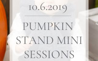 Pumpkin Stand Mini Sessions