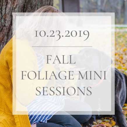 10.23.2019 Fall Foliage Mini Sessions