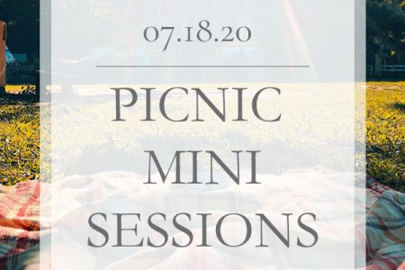 Picnic Mini Sessions