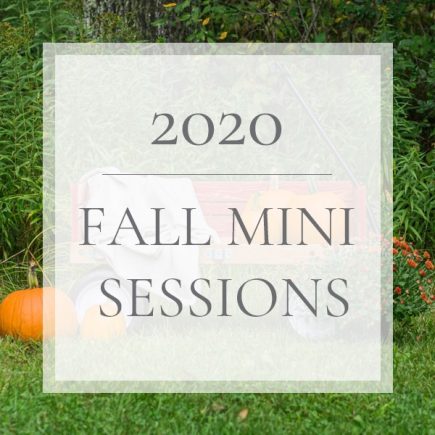 2020 Fall Mini Sessions