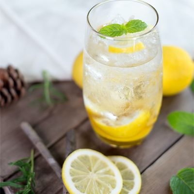 Lemonade Stand Mini Sessions